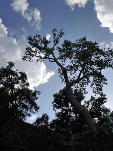 P1020301